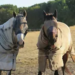 Accommodatie bij particulieren De Museumkamer Den Burg