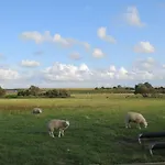 De Museumkamer Accommodatie bij particulieren