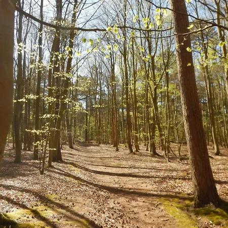 De Museumkamer ホームステイ デン・ブルグ