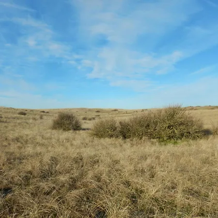 De Museumkamer Den Burg