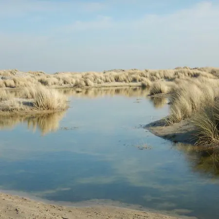 De Museumkamer デン・ブルグ