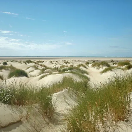 ホームステイ De Museumkamer デン・ブルグ