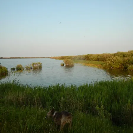 De Museumkamer ホームステイ *