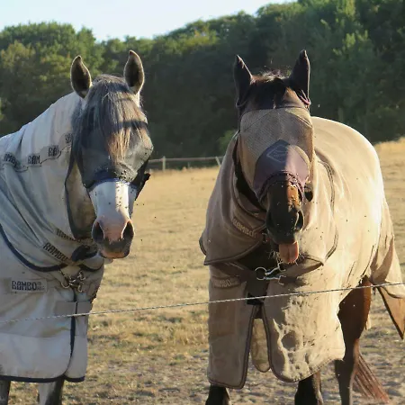 ホームステイ De Museumkamer デン・ブルグ