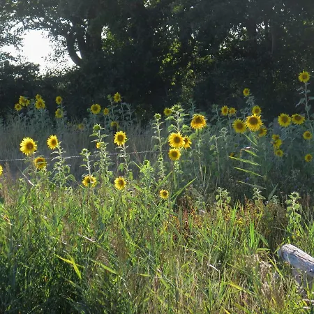ホームステイ De Museumkamer デン・ブルグ