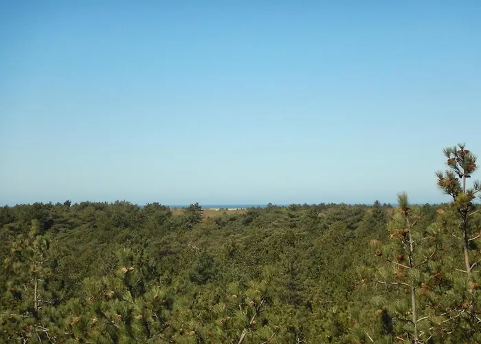 Accommodatie bij particulieren De Museumkamer