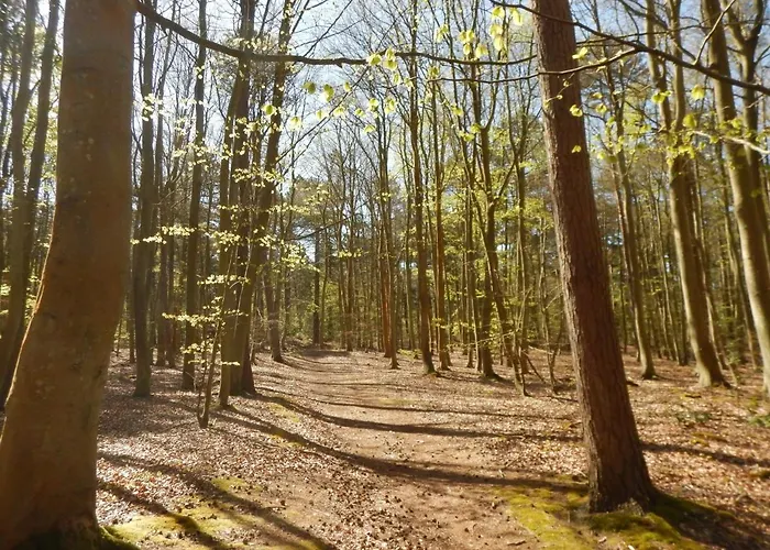 De Museumkamer Accommodatie bij particulieren Den Burg