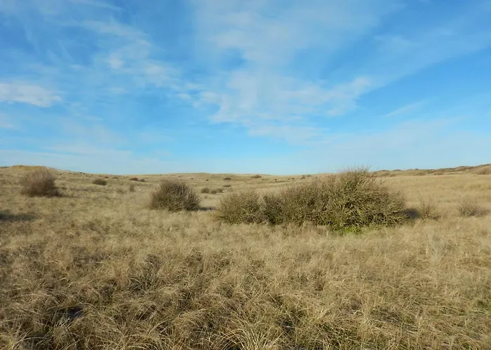 De Museumkamer Den Burg