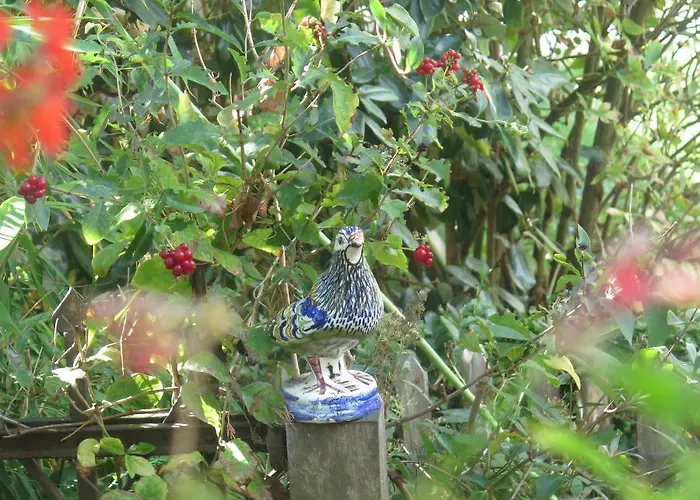 De Museumkamer Accommodatie bij particulieren Den Burg