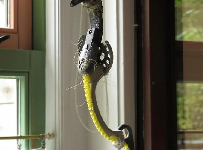 Accommodatie bij particulieren De Museumkamer Den Burg