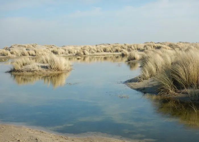 De Museumkamer Den Burg