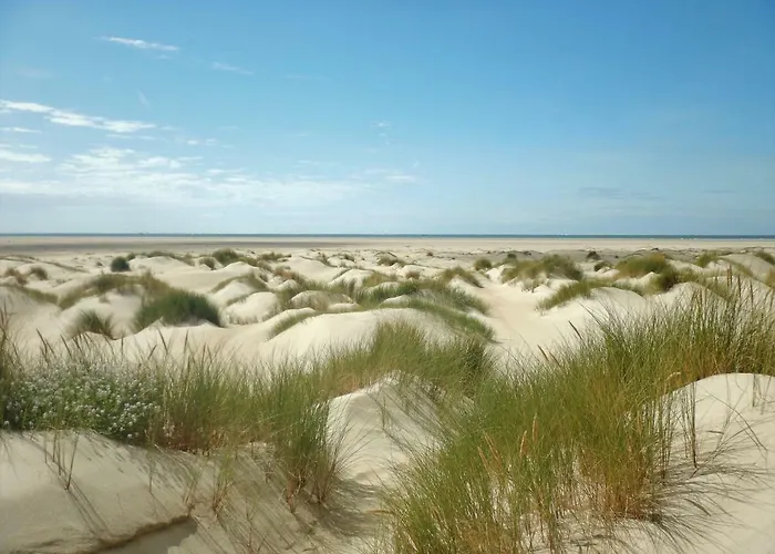Accommodatie bij particulieren De Museumkamer Den Burg