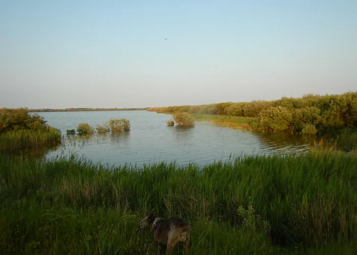 De Museumkamer Accommodatie bij particulieren *