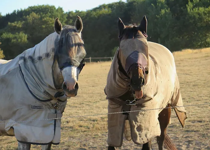 홈스테이 De Museumkamer 덴버크