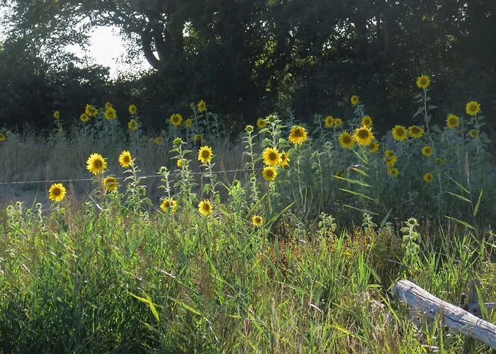 홈스테이 De Museumkamer 덴버크