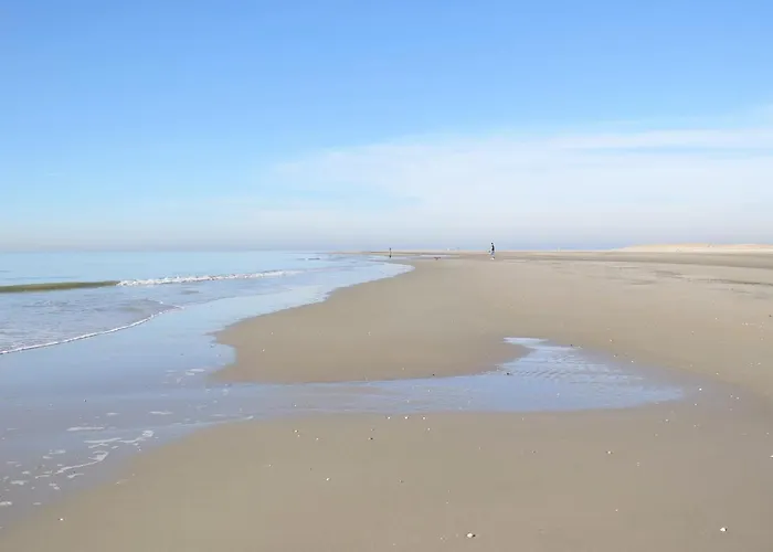 De Museumkamer 홈스테이