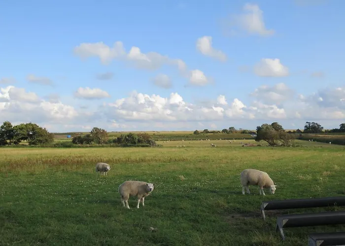 De Museumkamer 홈스테이